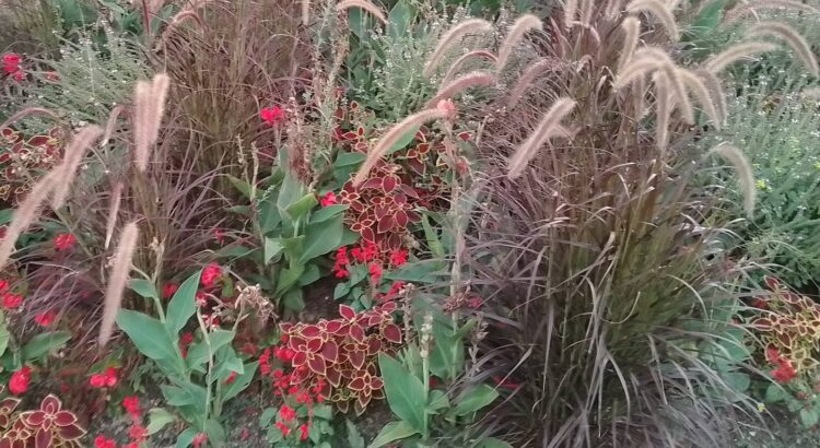 Fülle eines Blumenbeets als Symbol für einen Strauß von Ideen auf der Bühne